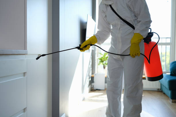 Mold Removal for HVAC Installations in North Bend, OR